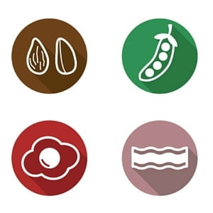more protein icons
