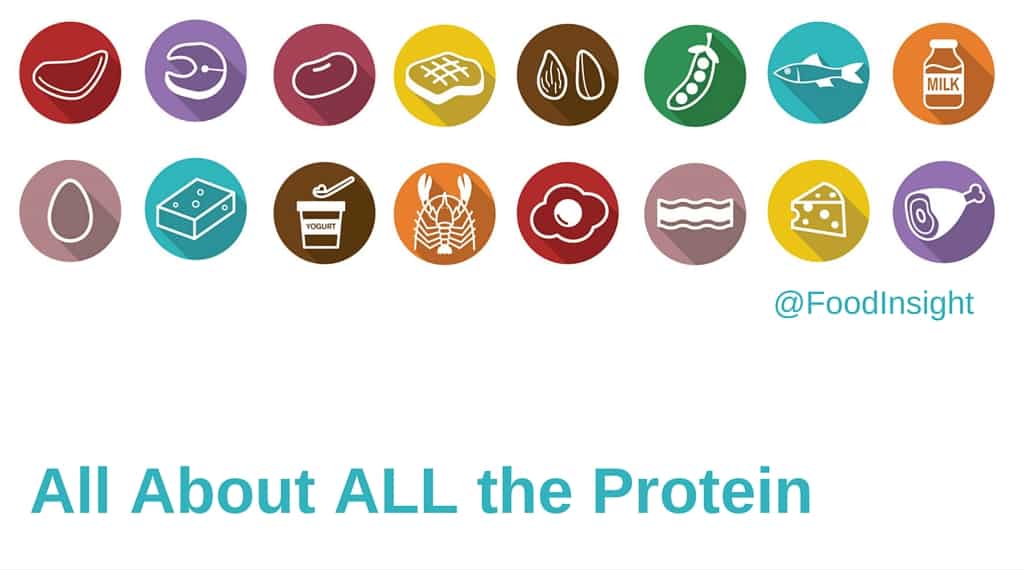 All About ALL THE PROTEIN.jpg