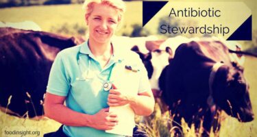 Antibiotic-Stewardship.jpg