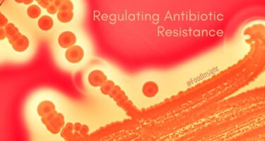 Regulating Antibiotic Resistance header_0.jpg