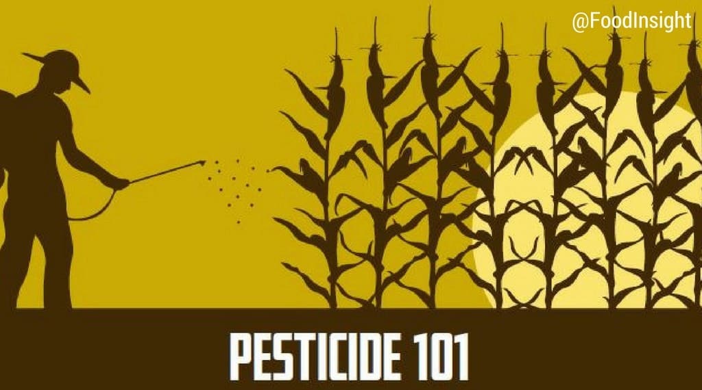 pesticide 101 header_0.jpg