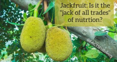 jackfruit debunk_2.jpg