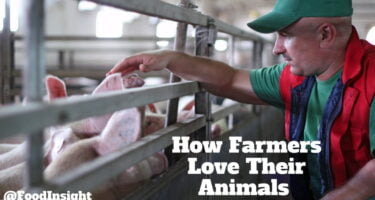 How Farmers Love Their Animals (2)_0.jpg