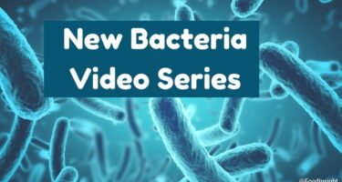 New Bacteria Video Series (1)_0.jpg