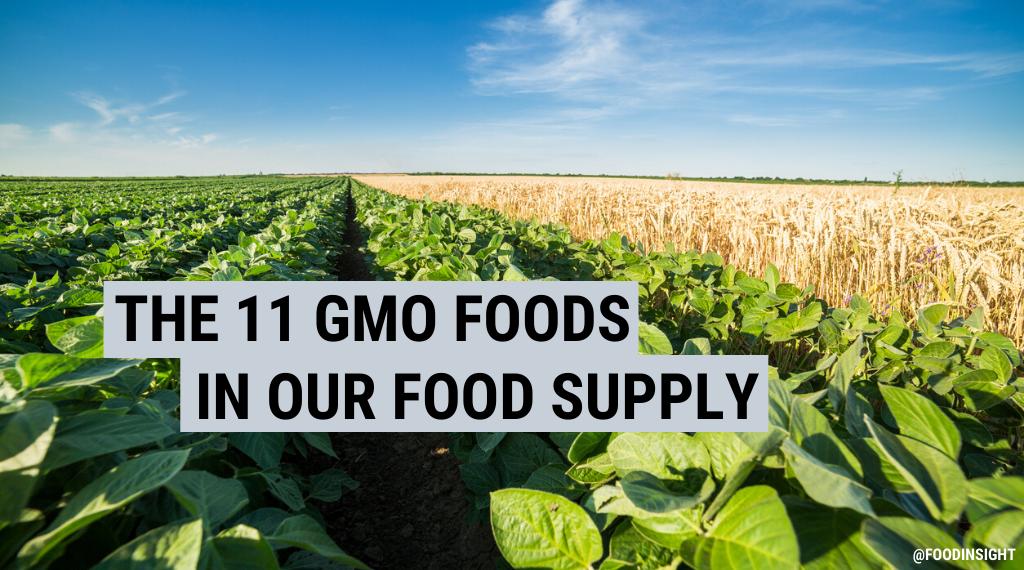The 11 GMO Crops on our Food Supply: Genetically Modified Organisms and Our Food Supply
