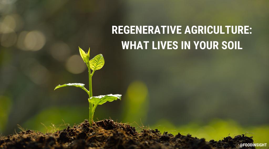 The Little Guys of Regenerative Agriculture