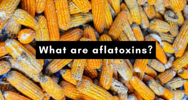Aflatoxins in the U.S. Food Supply