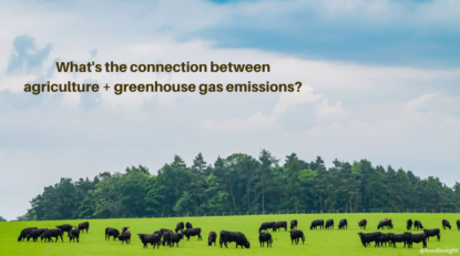 What's the connection between agricultural and greenhouse gas emission? Agriculture and Greenhouse Gas Emissions
