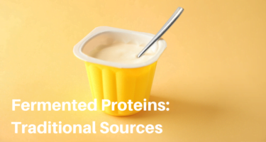 Fermented Protein Series, Part 1: Traditional Sources