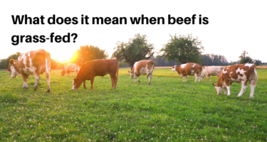 What Is Grass-Fed Beef, and How Is It Regulated?