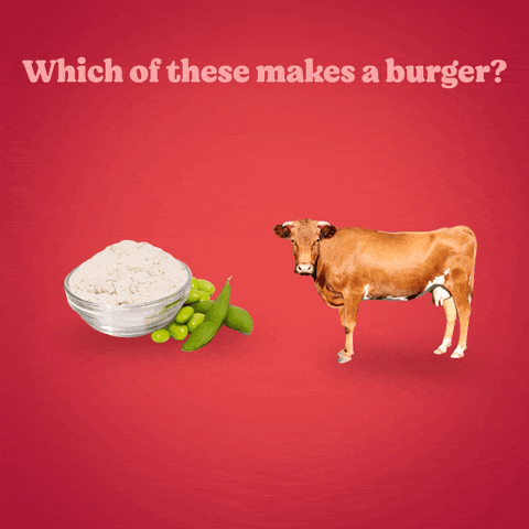 Which of these makes a burger? Pea protein or beef cow?